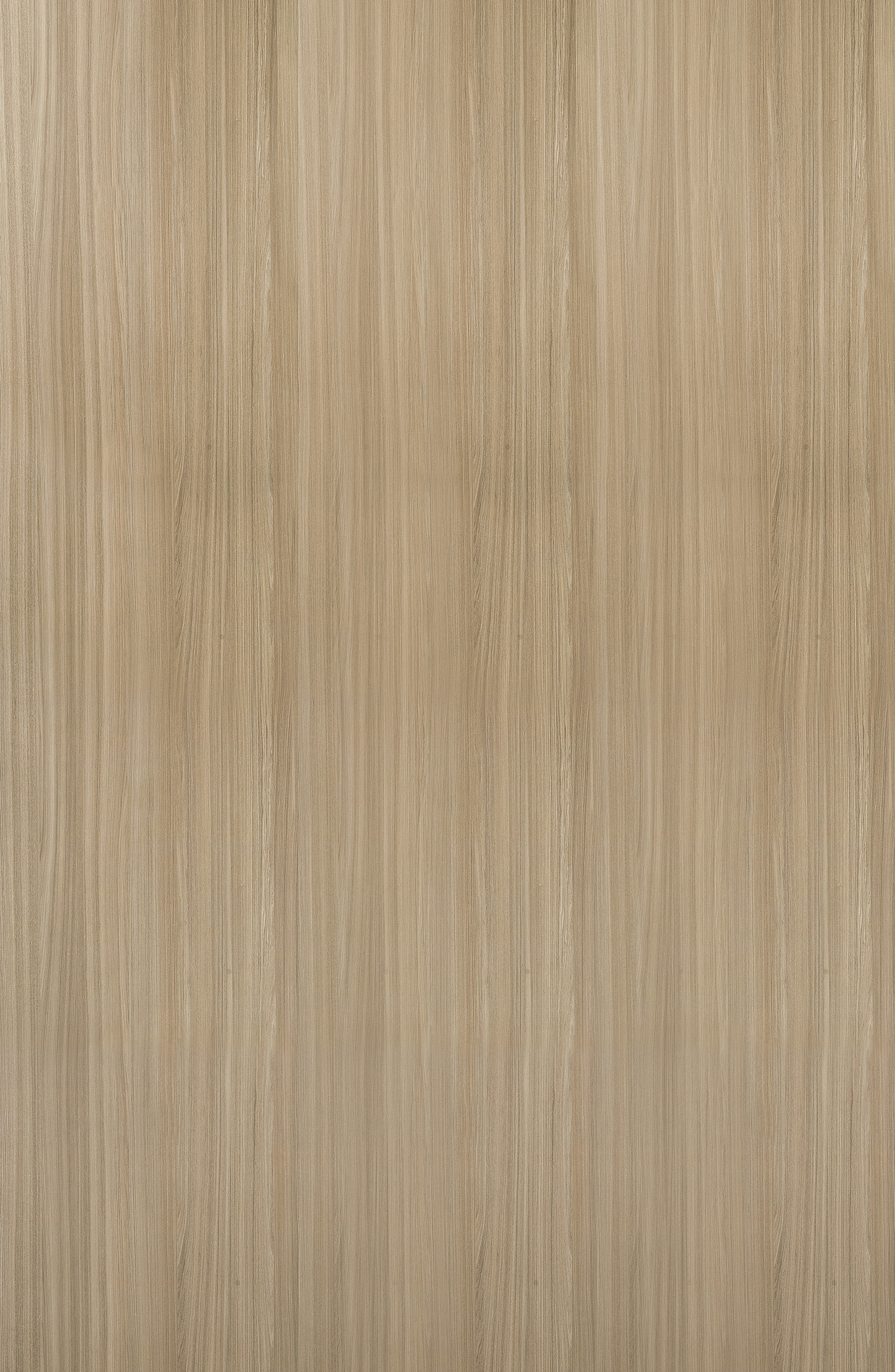 Carvalho Castelli (1)